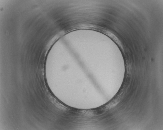 X0000077400954200611101817