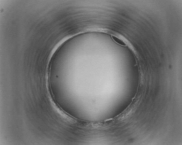 X0000077400955200611101817