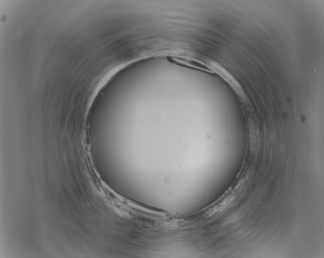 X0000077400956200611101817