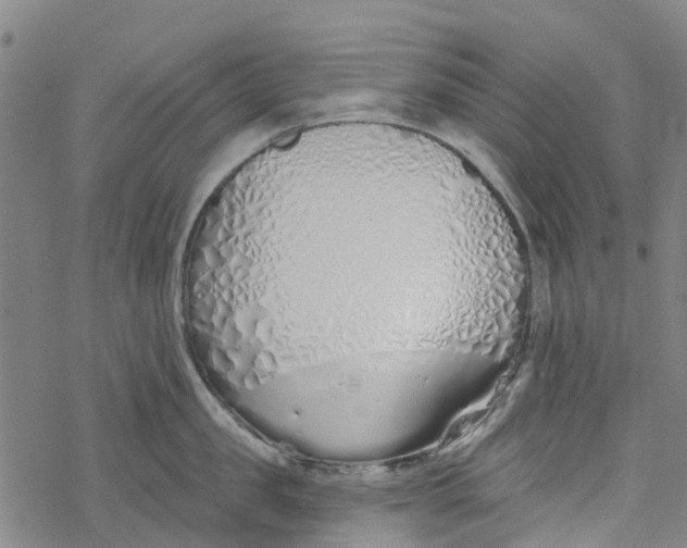 X0000077400957200611101817