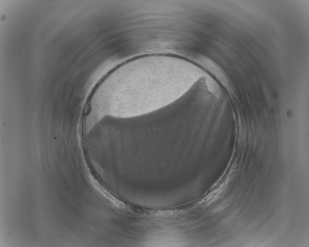 X0000077400958200611101817