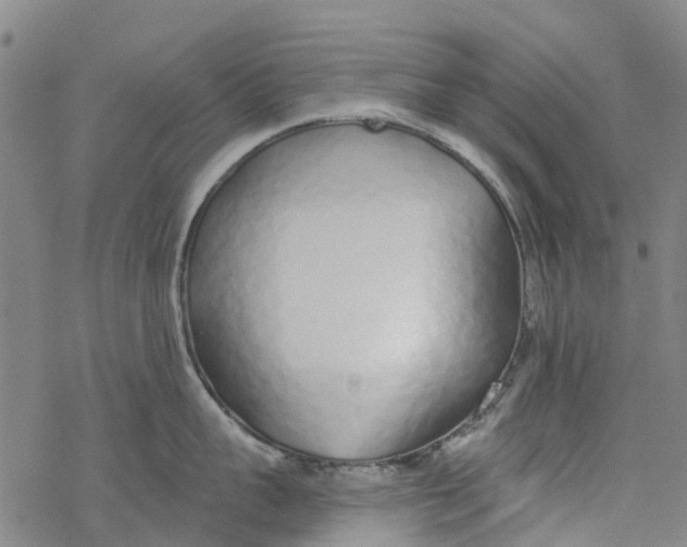 X0000077400959200611101817