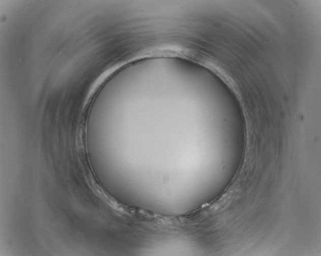 X0000077400960200611101817