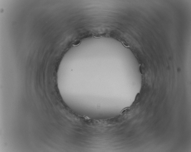 X0000077400961200611101816