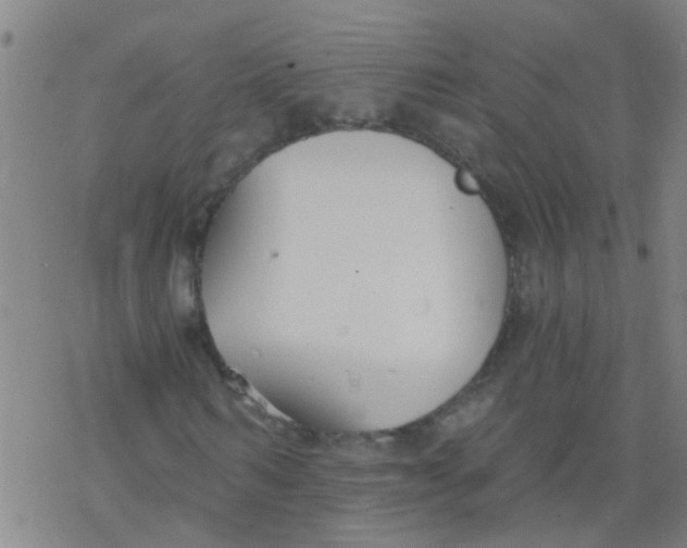 X0000077400962200611101816