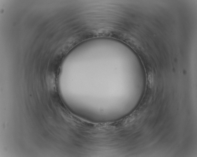 X0000077400963200611101816