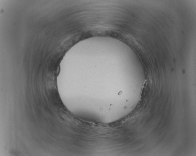 X0000077400964200611101816