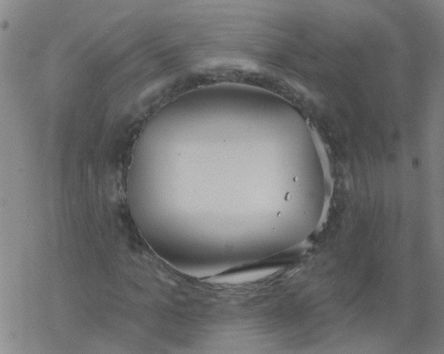 X0000077400965200611101816