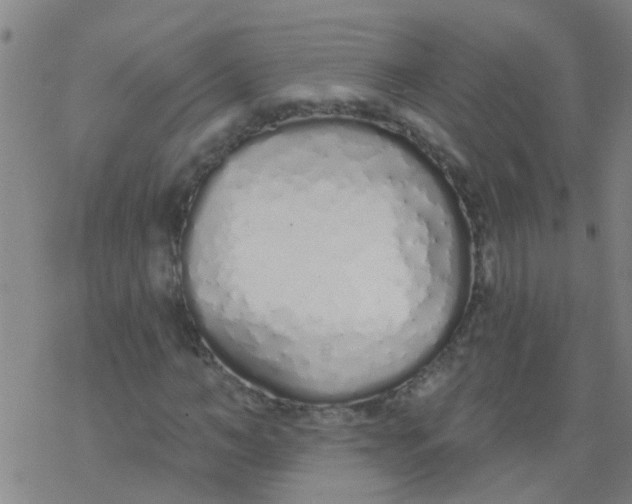 X0000077400966200611101816