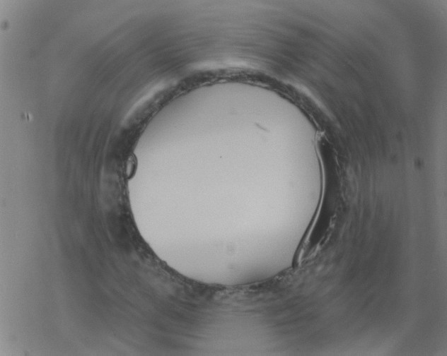 X0000077400967200611101816