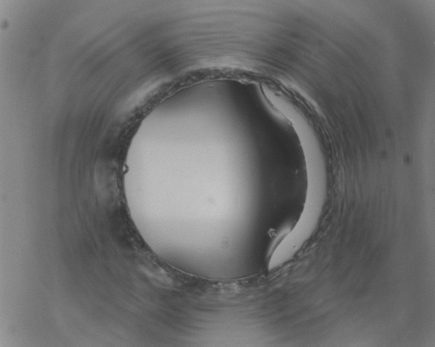 X0000077400968200611101816