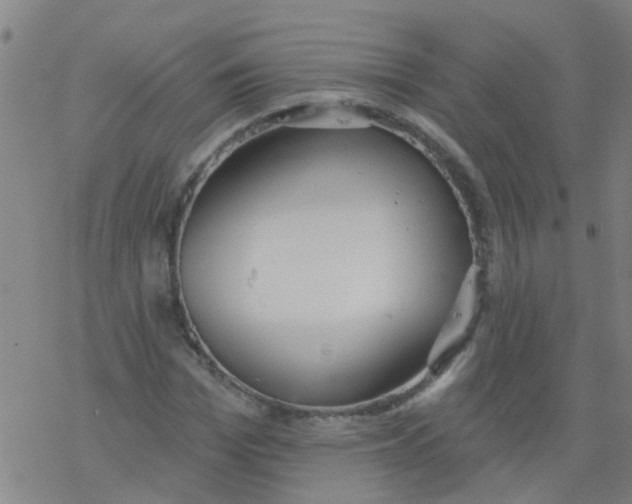 X0000077400969200611101816