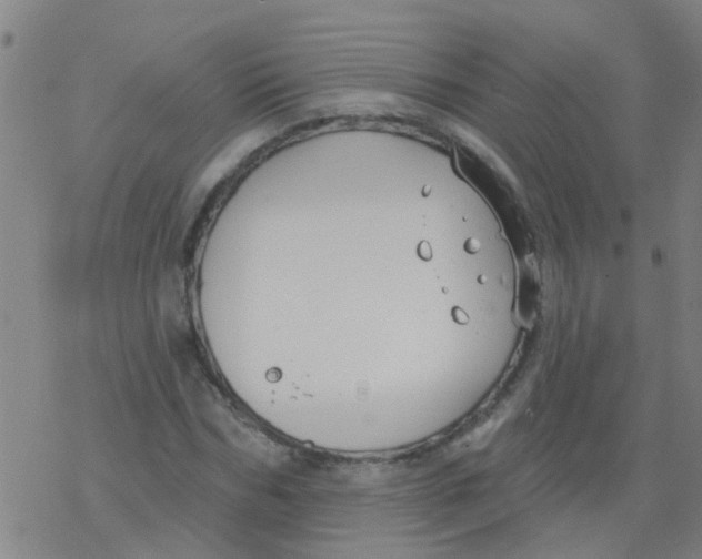 X0000077400970200611101816