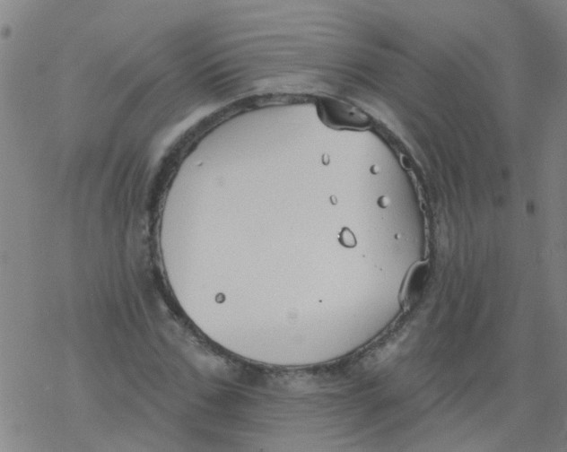 X0000077400971200611101816