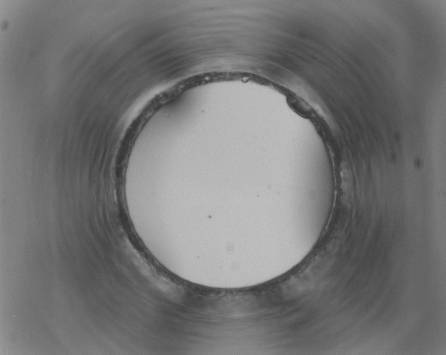 X0000077400972200611101816