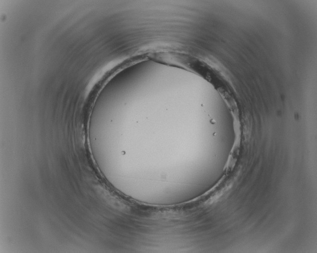 X0000077400973200611101816