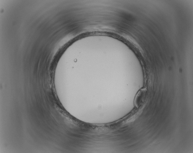 X0000077400974200611101816