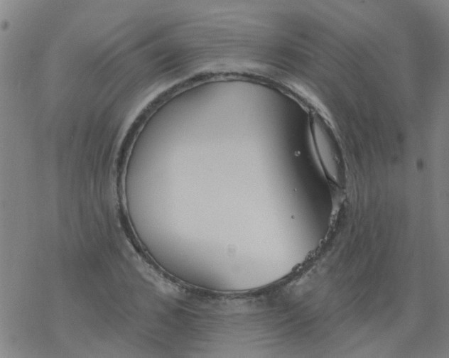 X0000077400976200611101816