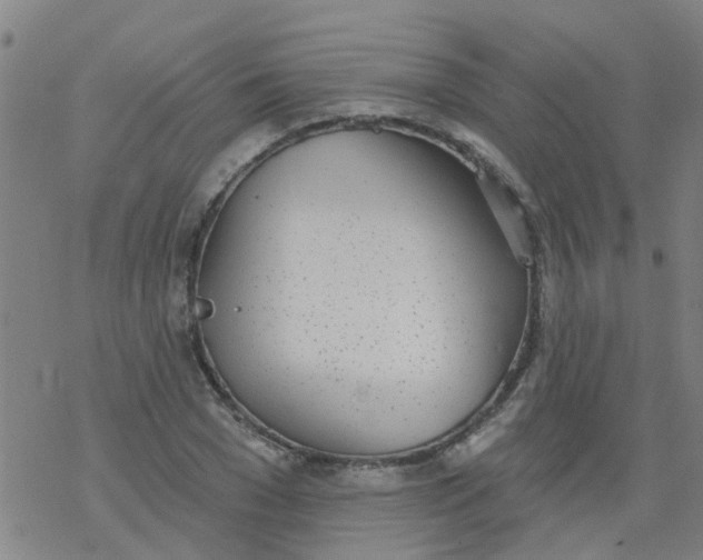 X0000077400977200611101816