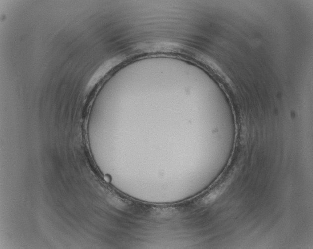 X0000077400978200611101816