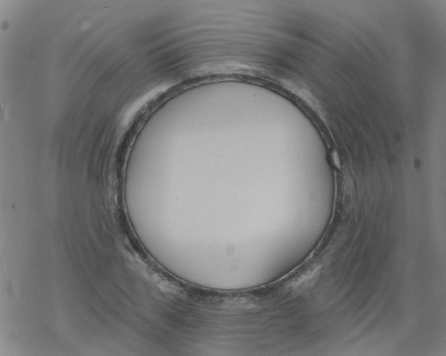 X0000077400979200611101816