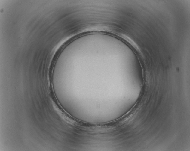 X0000077400980200611101816