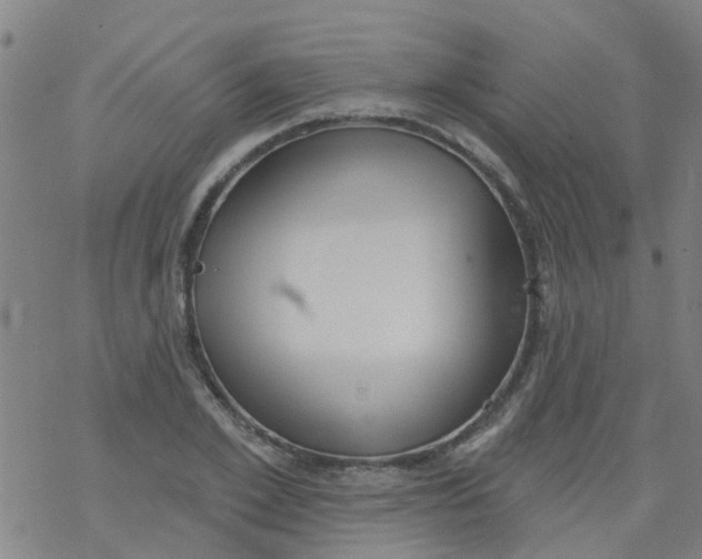 X0000077400981200611101816