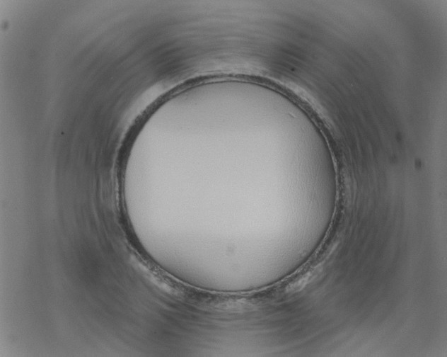 X0000077400982200611101816