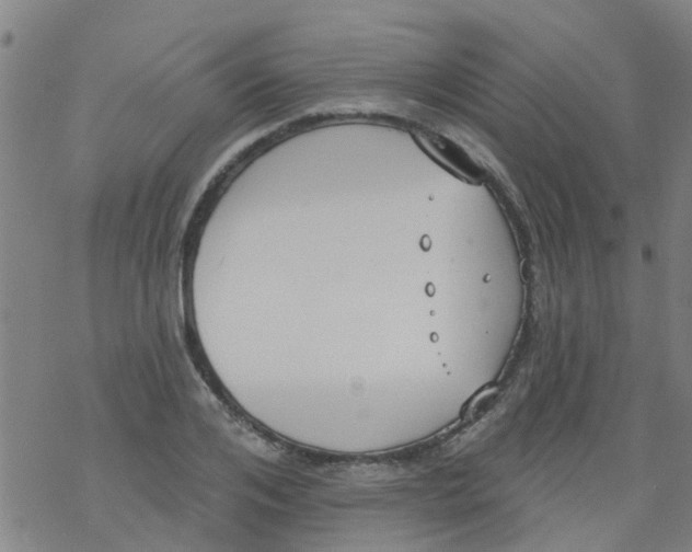 X0000077400984200611101816