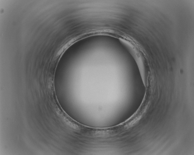 X0000077400985200611101816