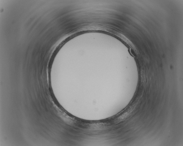 X0000077400988200611101816