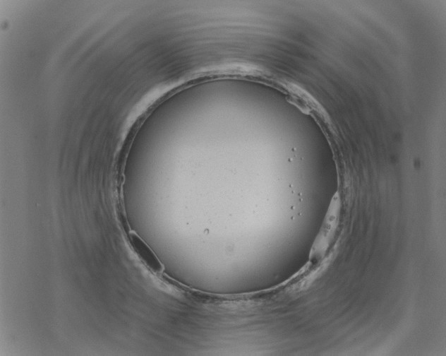 X0000077400989200611101815