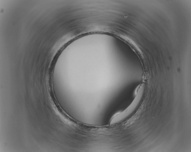 X0000077400991200611101815