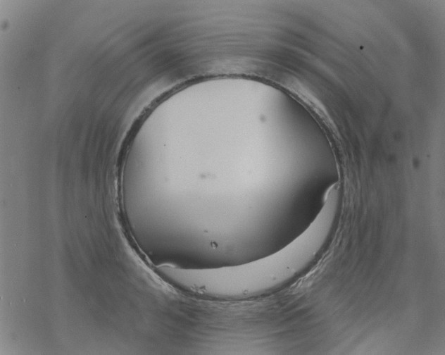 X0000077400992200611101815