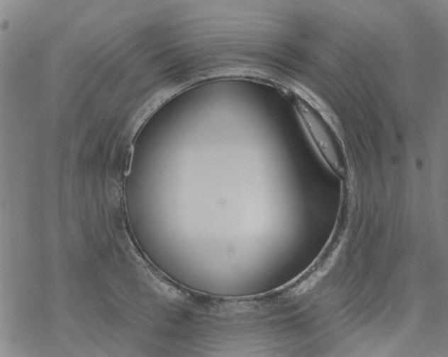 X0000077400993200611101815