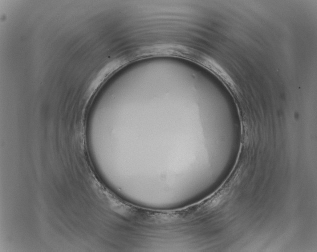 X0000077400994200611101815