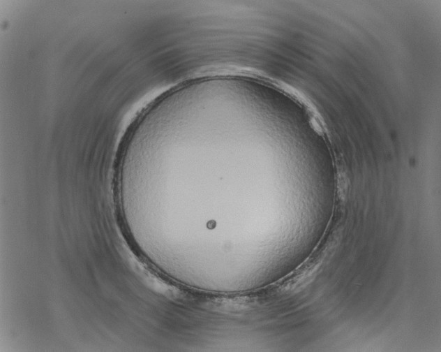 X0000077400995200611101815