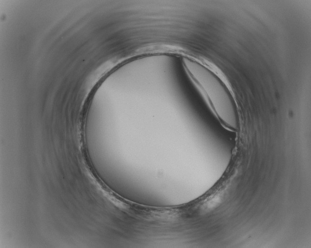 X0000077400997200611101815