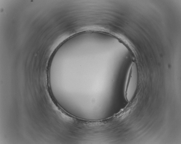 X0000077400999200611101815