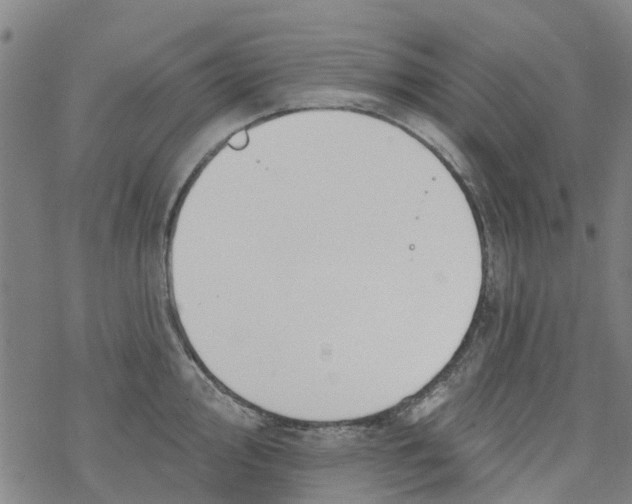 X0000077401000200611101815