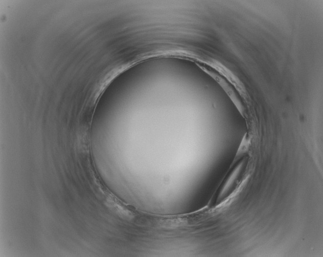 X0000077401001200611101815