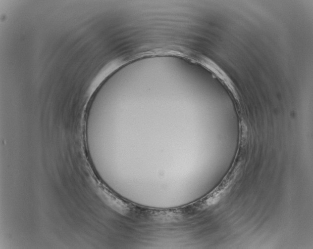 X0000077401002200611101815