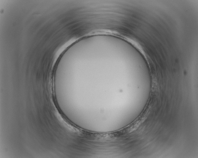 X0000077401003200611101815