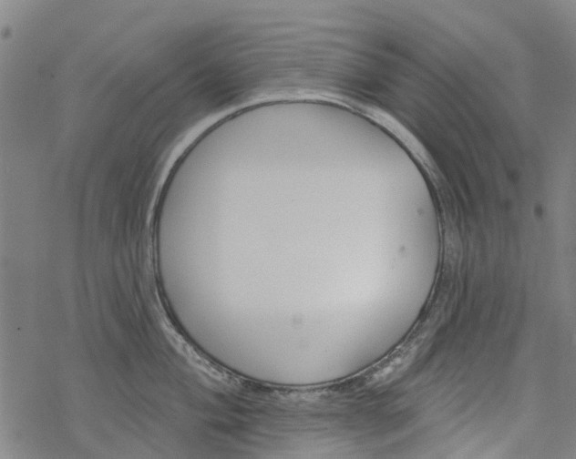 X0000077401004200611101815