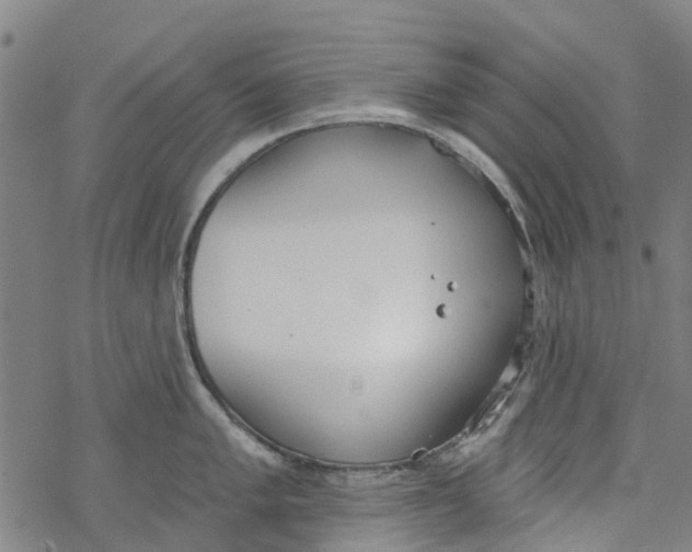 X0000077401005200611101815