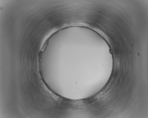 X0000077401006200611101815