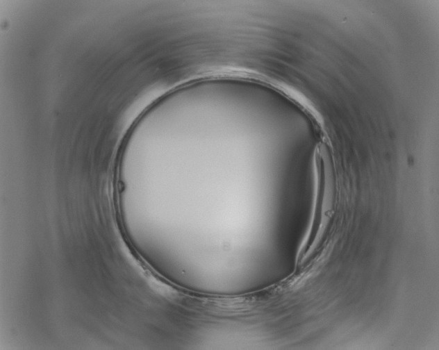 X0000077401007200611101815