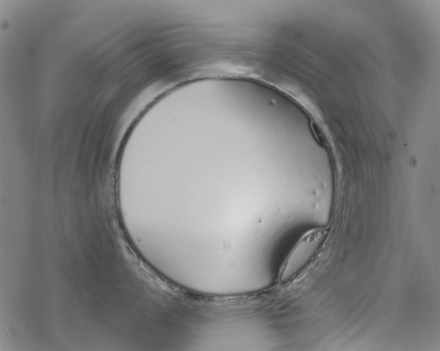 X0000077401008200611101815