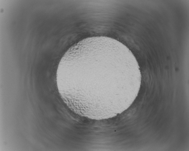 X0000077401009200611101814