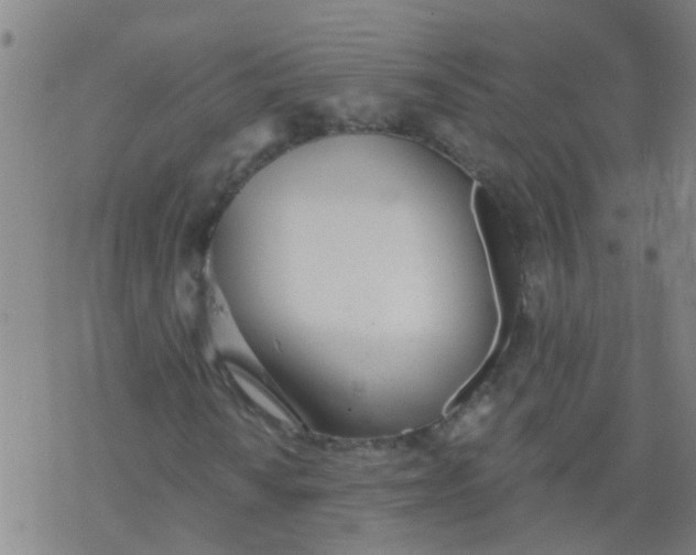 X0000077401010200611101814